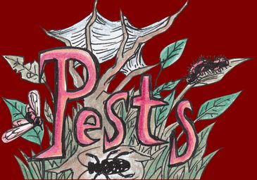 Drawing of word Pests in front of a tree that is surrounded by bugs and has webs betyween its brancheswebs