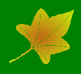 Drawing of orange-brownn leaf on light green background