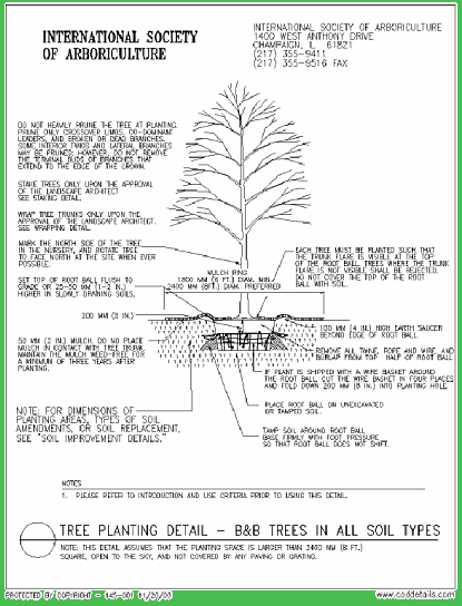 drawing of tree with arrows pointing to parts with instructions and notes