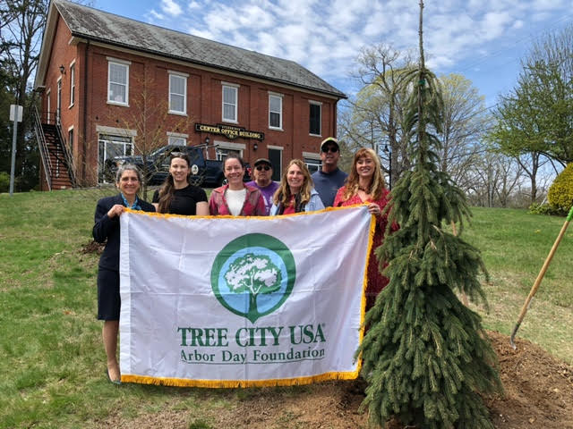 DCR Tree Stewardship Training for Conservation Department