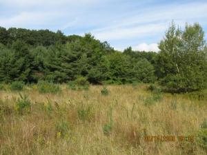 heavily wooded area