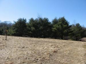 March 2010 - Post brush hogging - open area next to woods