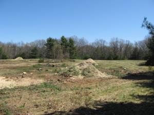 April 2010 - Post tree removal, pre clean-up - wide open cleared field