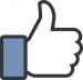 facebook Thumbs Up logo