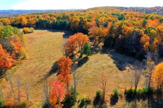 Heins Farm